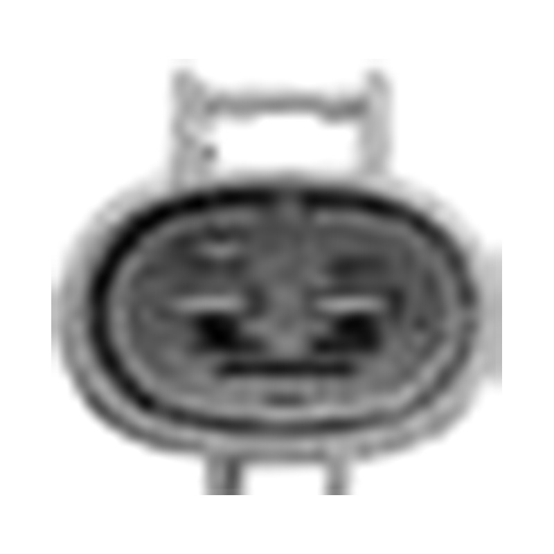 Hangzhou Golden Sun Autoparts Co., Ltd.